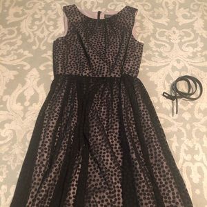 Jessica Howard Evenings black polka dot dress